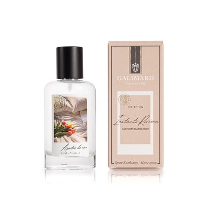 A portee de reve vapo 100ml Galimard