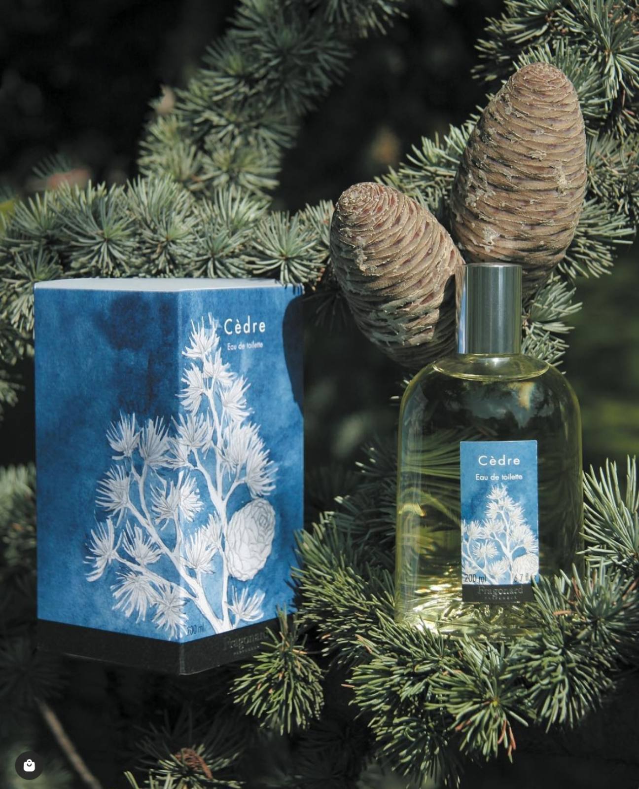 Cedre (Les Naturelles), Fragonard, toaletná voda unisex, 100 ml