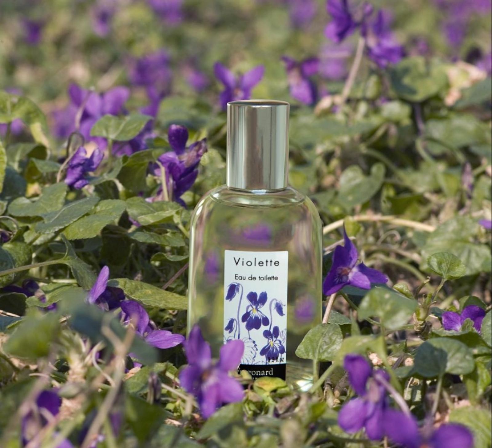 Violette, Fragonard, toaletná voda dámska, 100 ml