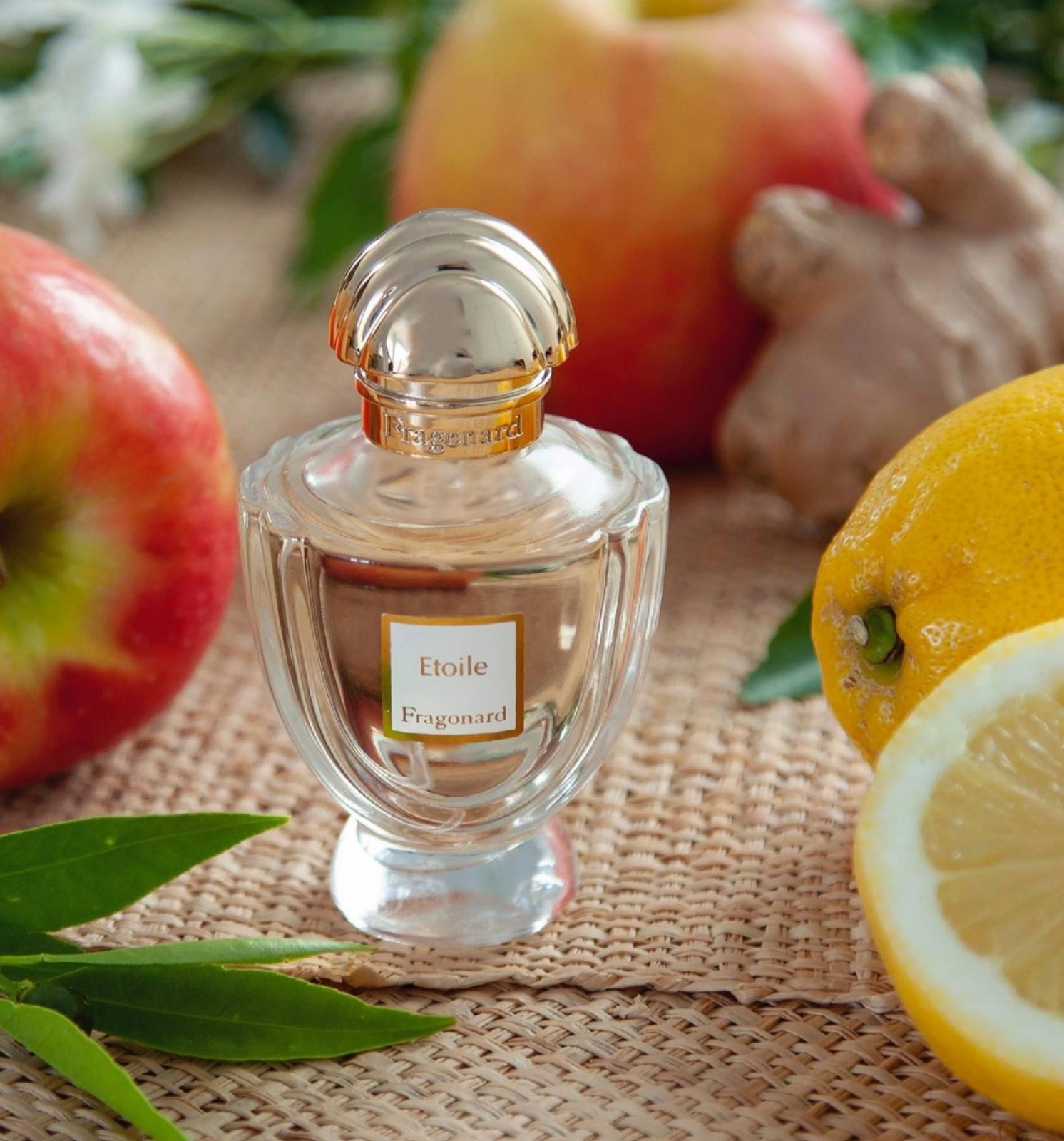Etoile, Fragonard, Fragonard Prestige, parfumová voda, 50 ml