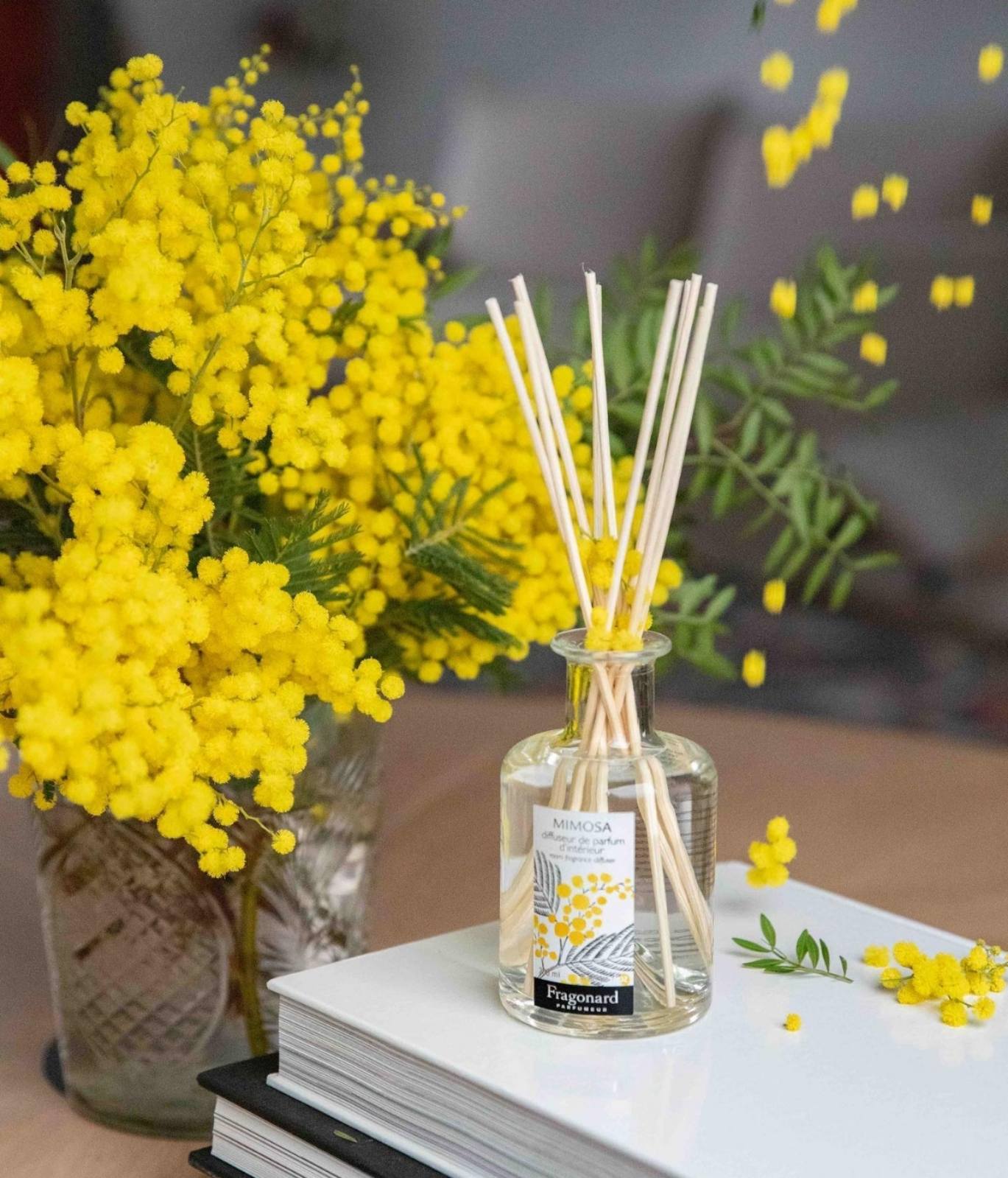 Mimosa , Fragonard, bytová vôňa, aroma difuzér, 200 ml